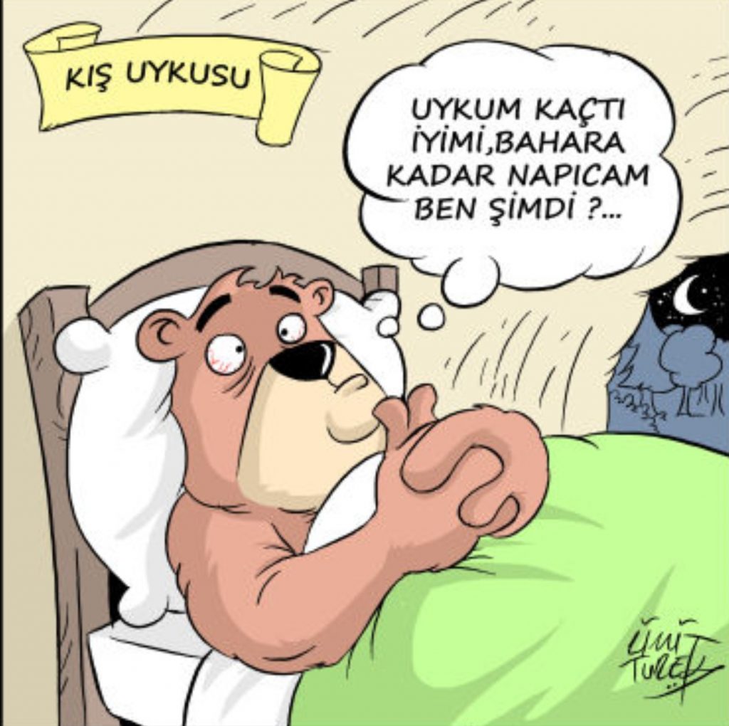 Hayvanlar neden kış uykusuna yatarlar?