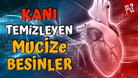 Kanı Temizleyen Mucize Besinler