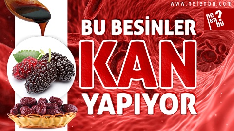 Kansızlığa İyi Gelen Besinler