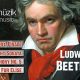Ludwig van Beethoven Klasik Müzikleri, Classical Music