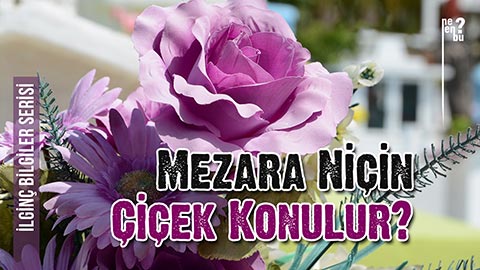 Mezara Niçin Çiçek Konulur - İlginç Bilgiler Serisi