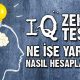 IQ Zeka Testi Nasıl Hesaplanır, Ne İşe Yarar? - İlginç Bilgiler Serisi