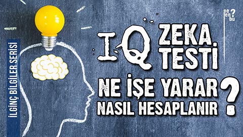 IQ Zeka Testi Nasıl Hesaplanır, Ne İşe Yarar? - İlginç Bilgiler Serisi