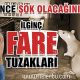 İlginç Fare Tuzakları