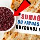 Sumağın Faydaları Nelerdir