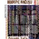 Dokuzuncu Hariciye Koğuşu - Peyami Safa - PDF Kitap İndir
