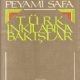 Türk İnkılabına Bakışlar - Peyami Safa - PDF Kitap İndir