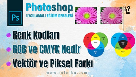 Renk Kodları RGB ve CMYK Nedir Vektör ve Piksel Program Farkı Photoshop Dersleri