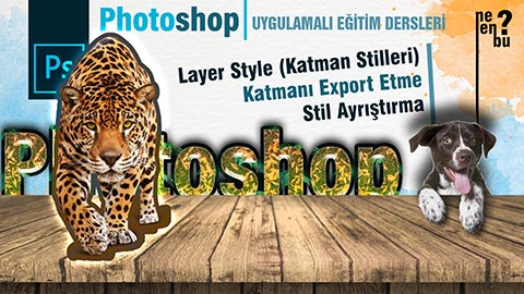 Layer Style (Katman Stilleri), Katmanı Export Etme, Stil Ayrıştırma - Photoshop Dersleri