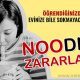 Noodle'ın Zararları - Öğrenince Evinize Bile Sokmayacaksınız