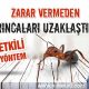 Karıncalara Zarar Vermeden Evden Uzaklaştıran Etkili 3 Yöntem