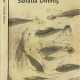 Sanatta Direniş - John Berger - PDF Kitap İndir