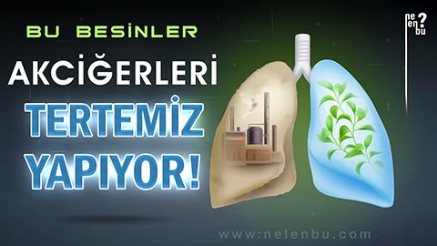 Bu besinler akciğerleri tertemiz yapıyor