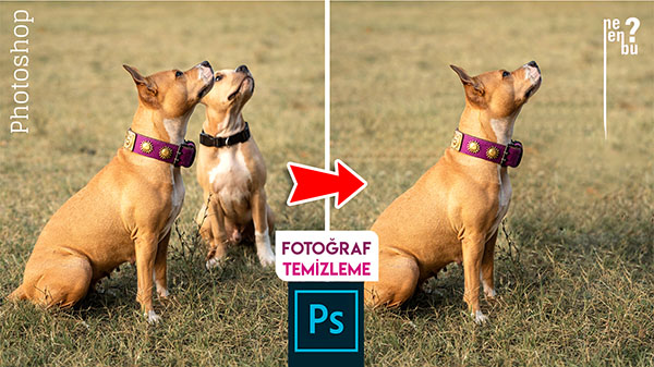 Fotoğraflarda İstenmeyen Yerleri Çıkarma – Photoshop Eğitim Dersleri
