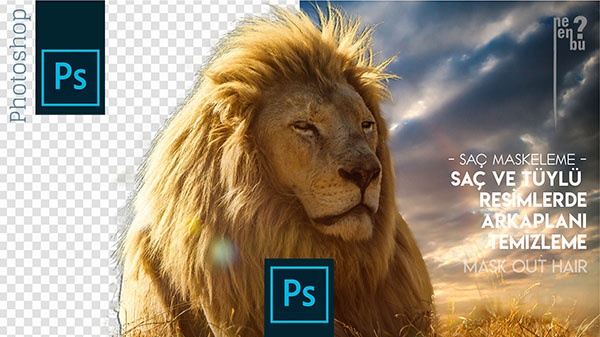 Saç veya Tüyler Nasıl Maskelenir (Arkaplanı Temizleme) – Photoshop Eğitim Dersleri